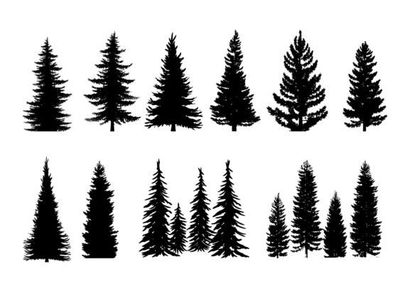 Mastering Pine Tree Silhouettes for Design